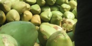 Tender Green Coconut