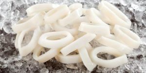 Frozen Squid Ring Fish