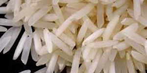 Pusa 1121 Steam Rice