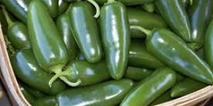 Jalapeno Pepper