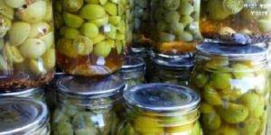 Tomato Red and Green