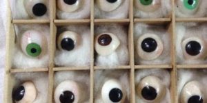 Artificial Eyes