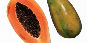 Papaya