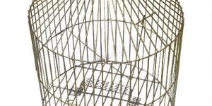 Parrot Cage