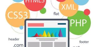 Web Application Development