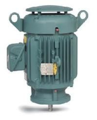 Vertical Motor