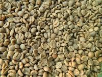 Unwashed Arabica Coffee