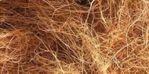 Brown Coir Fibre