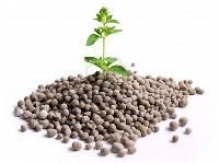 Nitrogen Fertilizers