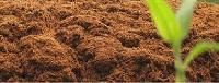 Coir Pith Organic Manure