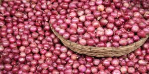 Red Onion