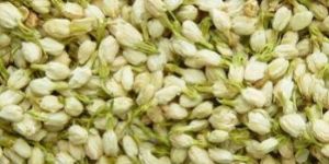 Dried Jasmine Flowers
