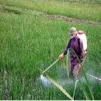 Plant Protection Chemicals Including Fungicides