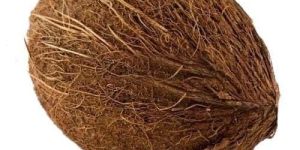 Fully Husked Coconut