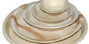 Areca Leaf Plates