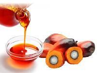 Palm Kernel Oil