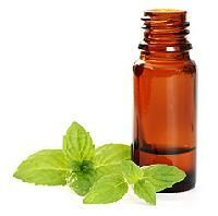 Aromatherapy Essential Oils