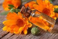 Calendula Essential Oils