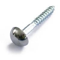 Mirror Screw