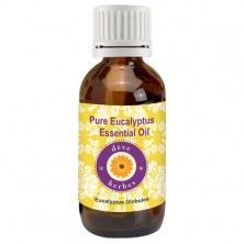 Eucalyptus Essential Oil