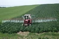 Chemical Pesticides