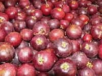 Kokum
