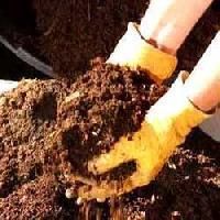 Non Toxic Fertilizers