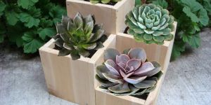 Wooden Flower Pots