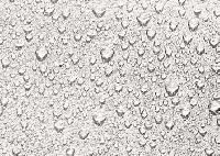 Water Repellent Paints