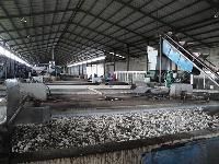 Rubber Processing Plant