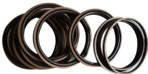 PTFE Piston Seals