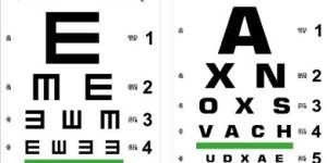 EYE CHARTS, Premium