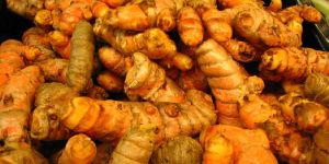 Raw Turmeric