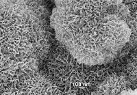 Rubber Products for Phosphating Plants