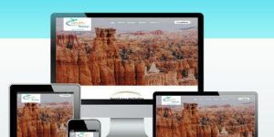 Word Press Website Development