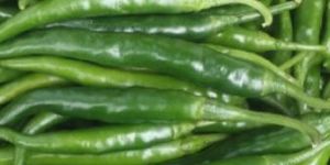 Green Chilli