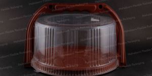 Plastic Packaging Box