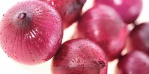 Fresh Red Onion