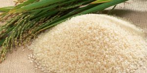 Indian Rice