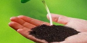 Vermicompost