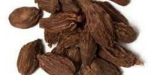 Black Cardamom