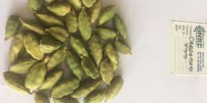 Cardamom