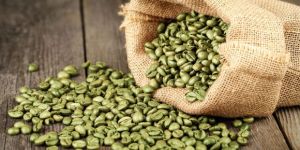 Green Coffee Beans Extract