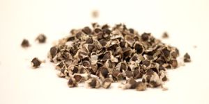 Moringa Seeds