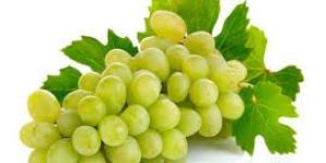 Fresh Grapes