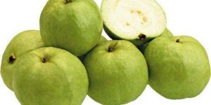 Fresh Guava