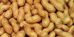 Shelled Groundnuts