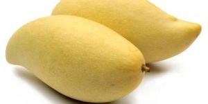 Fresh Totapuri Mango