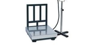 Digital Platform Scale