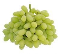 Seedless Grapes